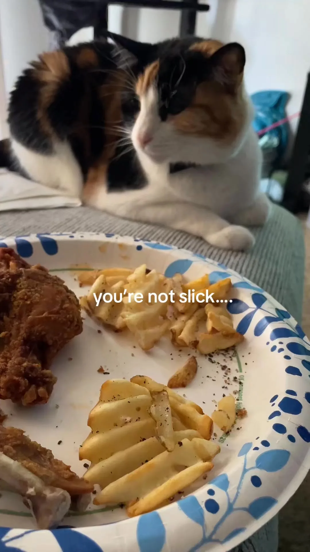 My budget to eat is me + dog + cat + trash dog 😹 - Gluttony food video
